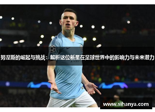 努涅斯的崛起与挑战：解析这位新星在足球世界中的影响力与未来潜力