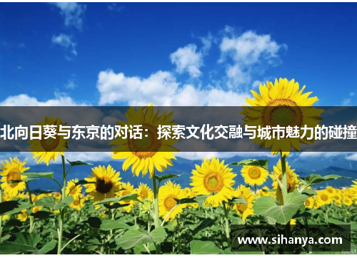 北向日葵与东京的对话：探索文化交融与城市魅力的碰撞