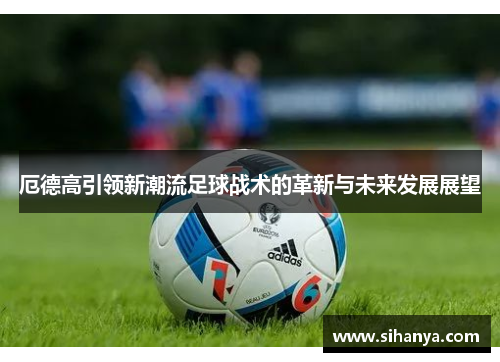 厄德高引领新潮流足球战术的革新与未来发展展望