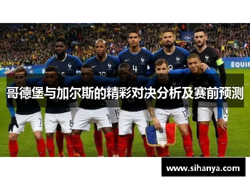 哥德堡与加尔斯的精彩对决分析及赛前预测