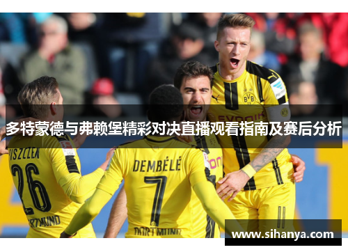 多特蒙德与弗赖堡精彩对决直播观看指南及赛后分析
