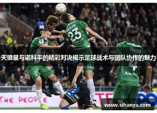 天狼星与诺科平的精彩对决揭示足球战术与团队协作的魅力